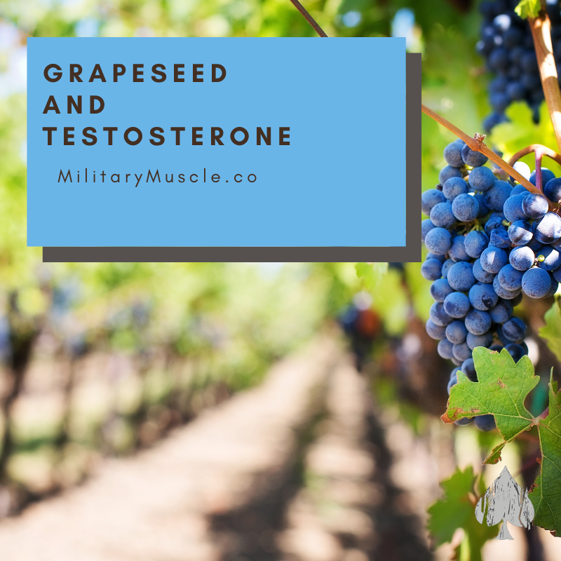 Does Grape Seed Extract Boost Your Testosterone Levels?