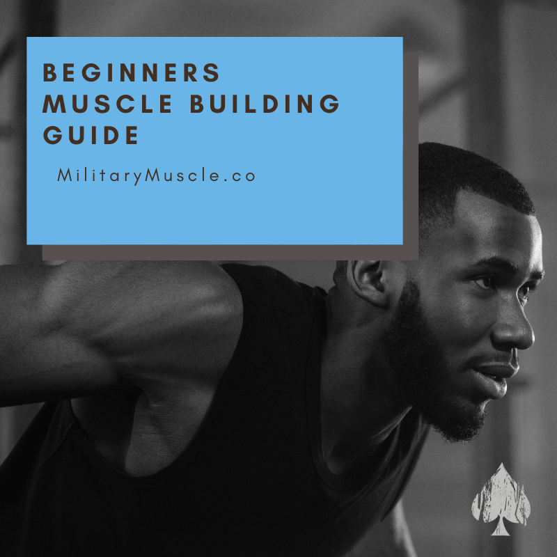 The Ultimate Muscle Building Guide: For Beginners