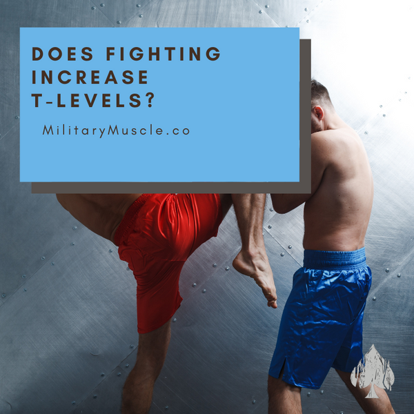 Does Fighting Increase Testosterone?