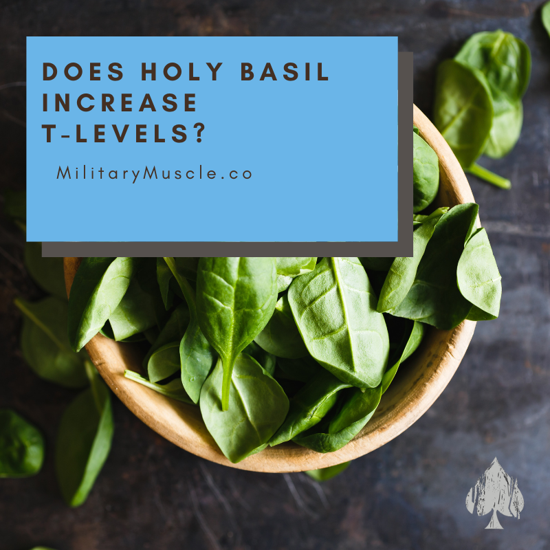 Is there a Link between Testosterone and Holy Basil? – Military Muscle ...