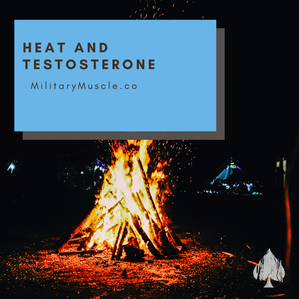 Does Heat Decrease Testosterone?