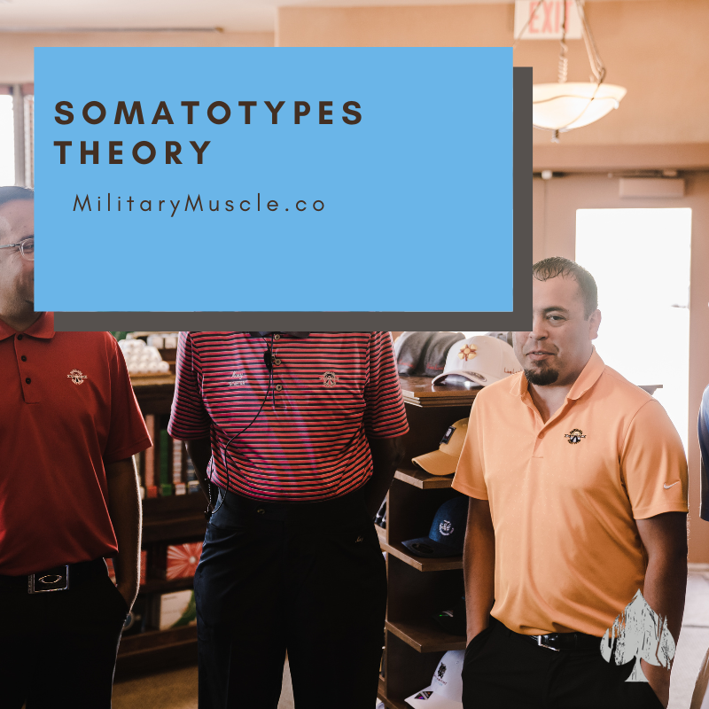 Somatotypes Theory