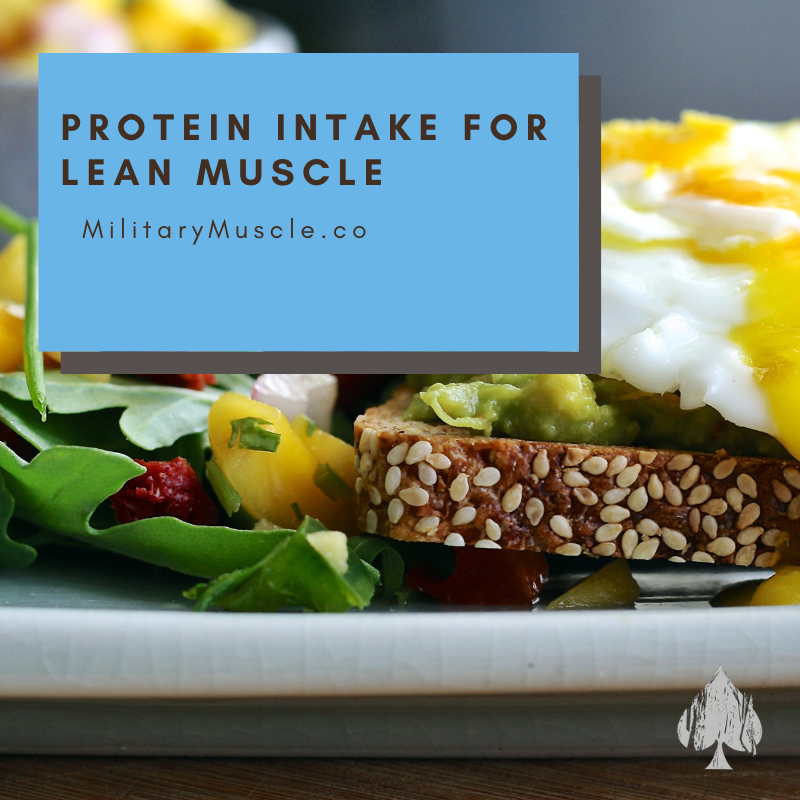 Protein Intake for Lean Muscle