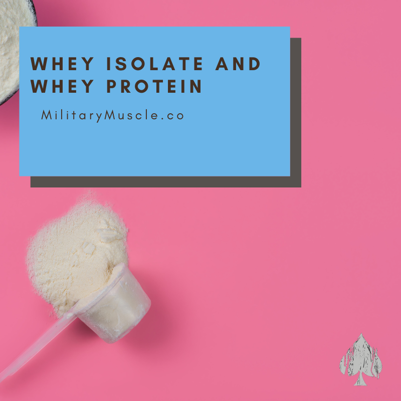 Difference between Whey Isolate and Whey Protein