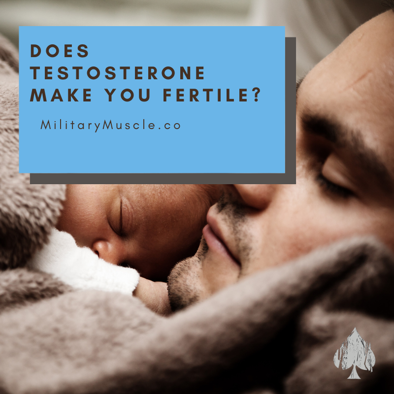 Does Testosterone make you more Fertile?