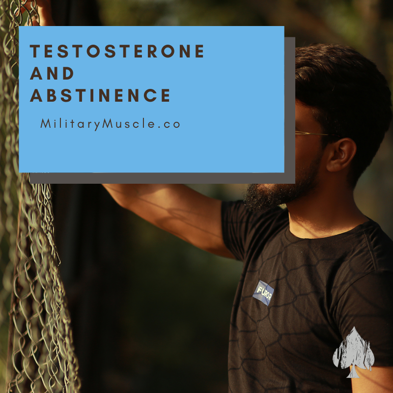 Abstinence and Testosterone