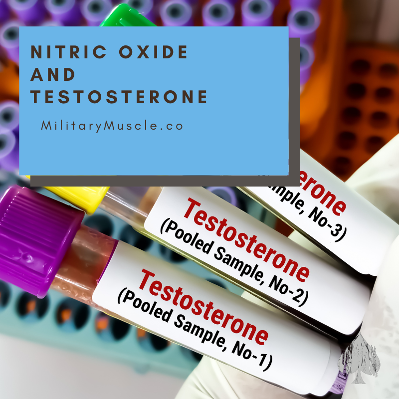 Nitric Oxide and Testosterone