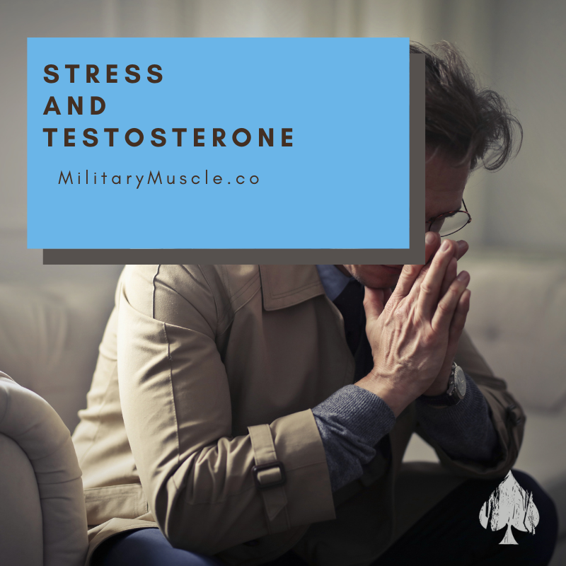 Stress and Testosterone Levels