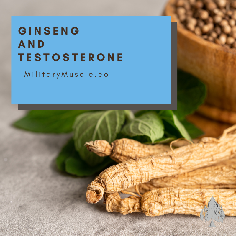 Korean Red Ginseng Testosterone