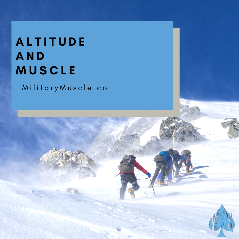 Altitude Exercise and Skeletal Muscle Angio Adaptive Responses to Hypoxia