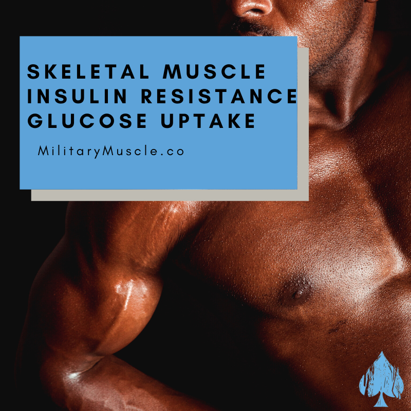 Role of Skeletal Muscle in Insulin Resistance and Glucose Uptake