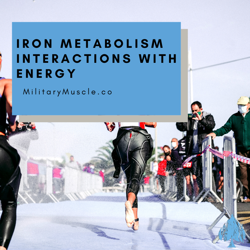 Iron Metabolism Interactions With Energy and Carbohydrate Availability