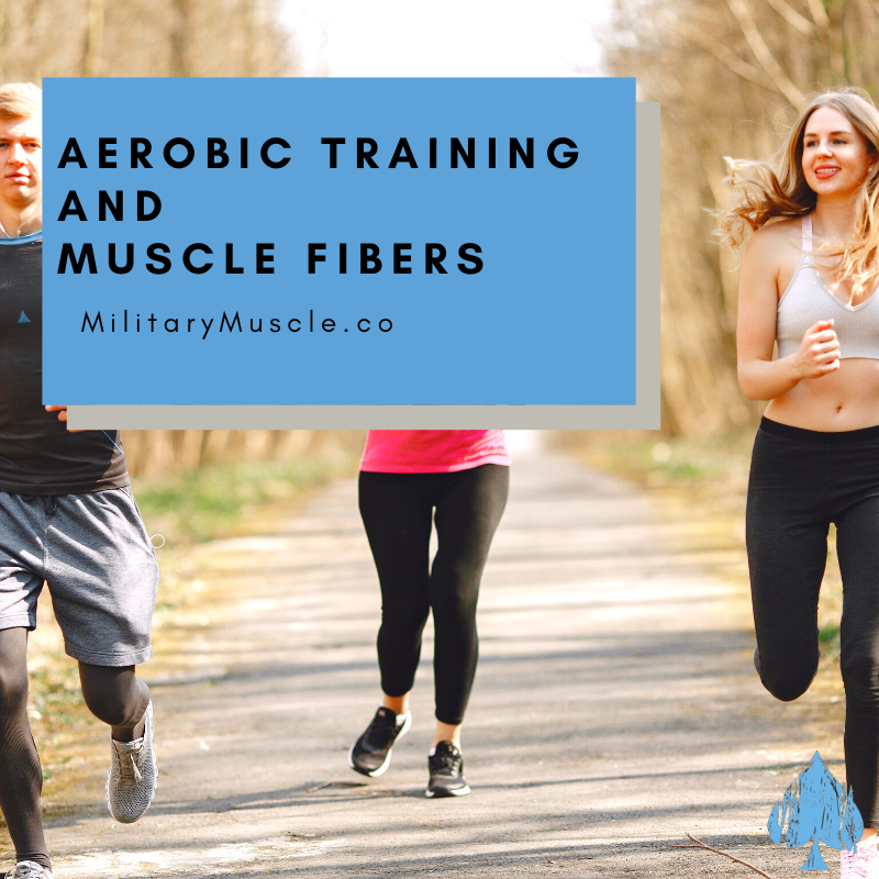 What type of muscle fibers does aerobic training chiefly work?