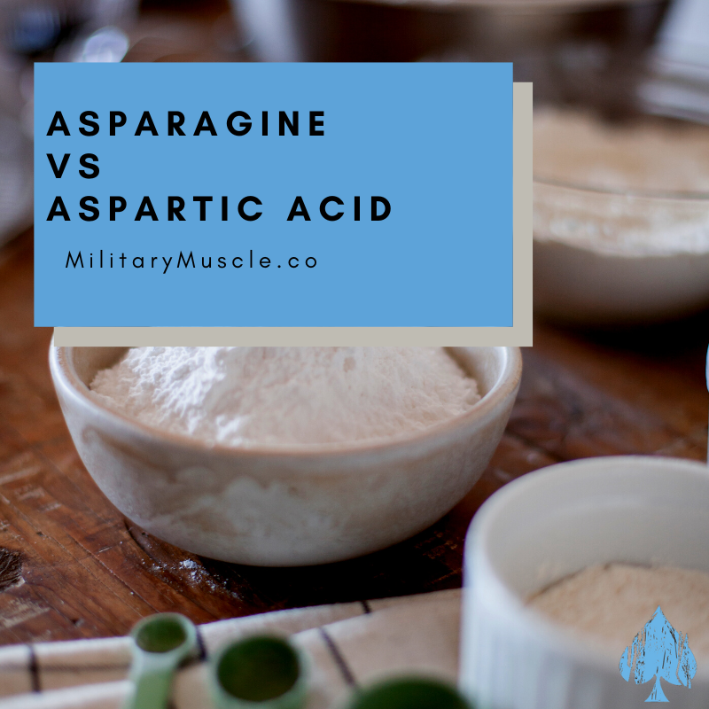 Asparagine Vs Aspartic Acid