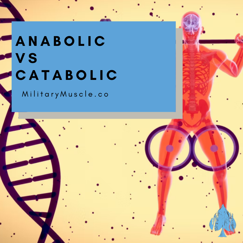 Anabolic vs Catabolic