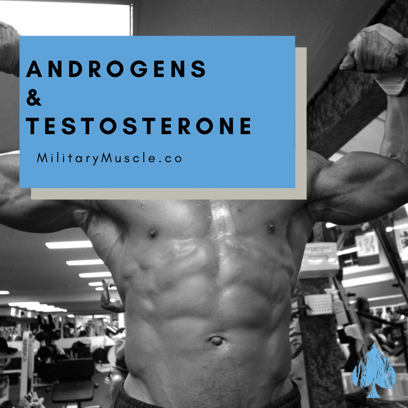 Is Testosterone and Androgen the same thing?