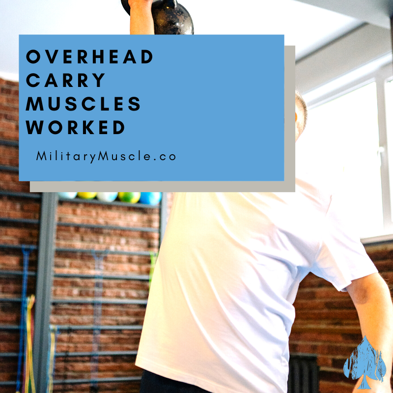 Overhead Carry Muscles Worked
