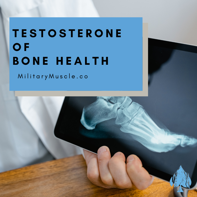 how does testosterone affect bone health?