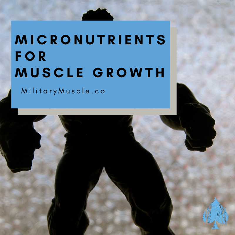 Important Micronutrients for Muscle Growth