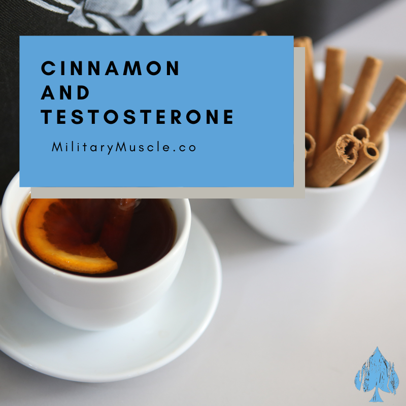 Does Cinnamon Increase Testosterone in Males?