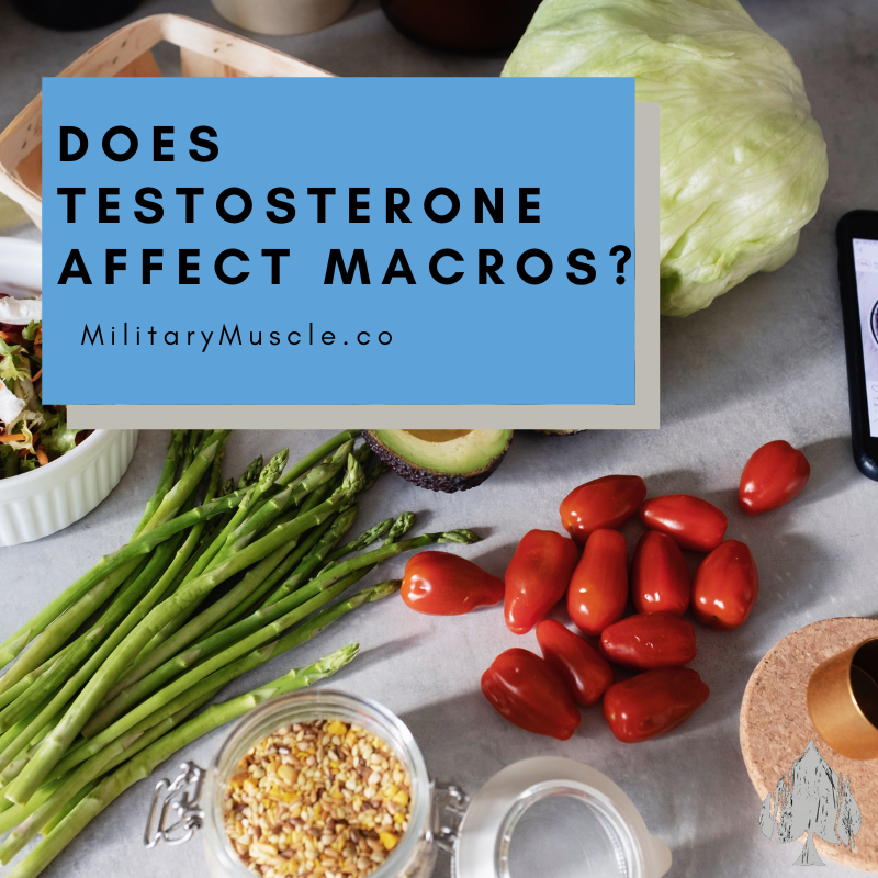 Does Testosterone Affect Metabolism of Macronutrients?