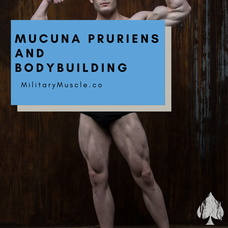 Mucuna Pruriens Dosage For Bodybuilding