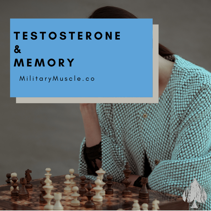 Does Testosterone Improve Memory?