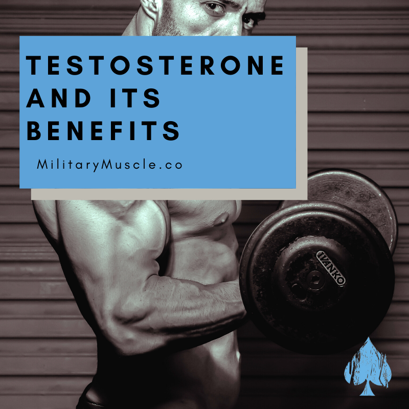 What is testosterone good for?