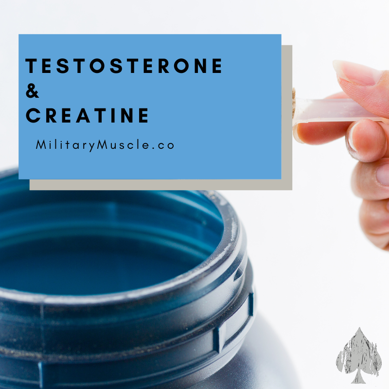 Does Creatine Increase Testosterone?