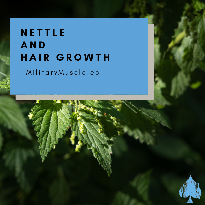 Stinging Nettle and Hair Growth