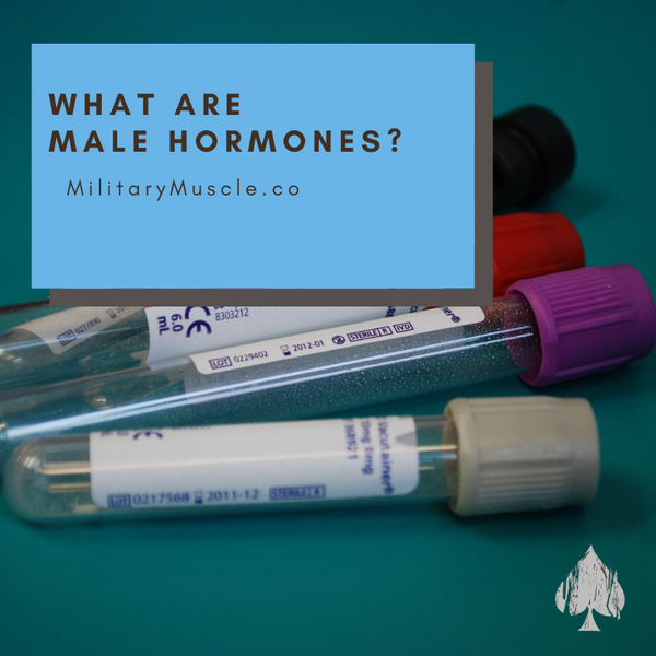 What are Male Hormones?