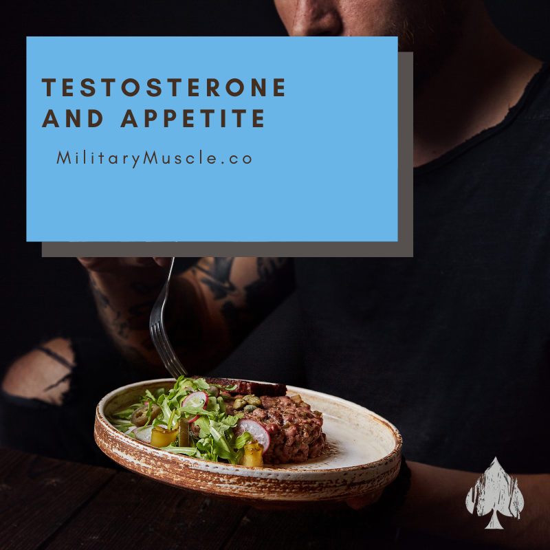 Does Testosterone make you Eat More?