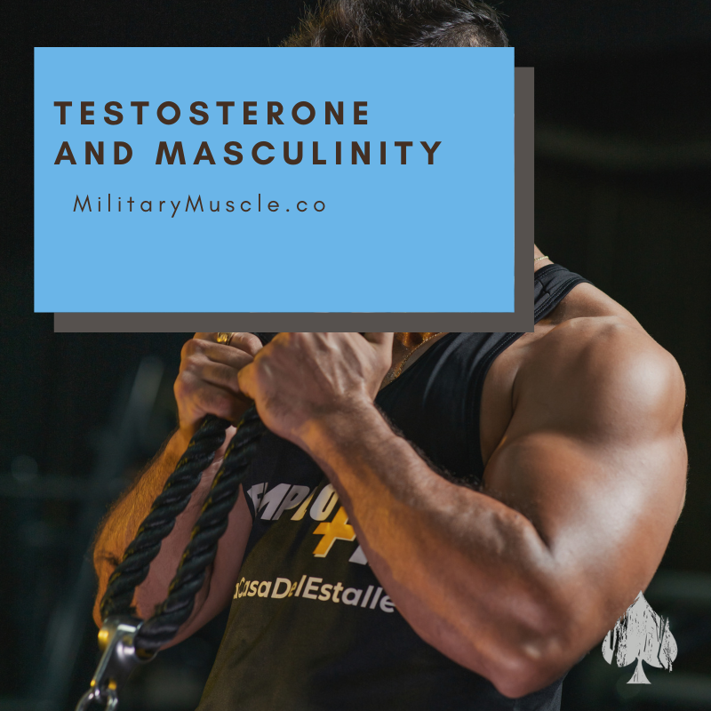 Unleashing the Truth: How Testosterone Impacts Masculinity – Military ...