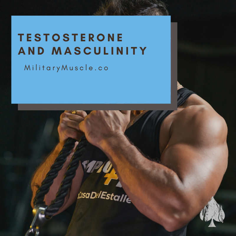 Does Testosterone make you more Masculine?