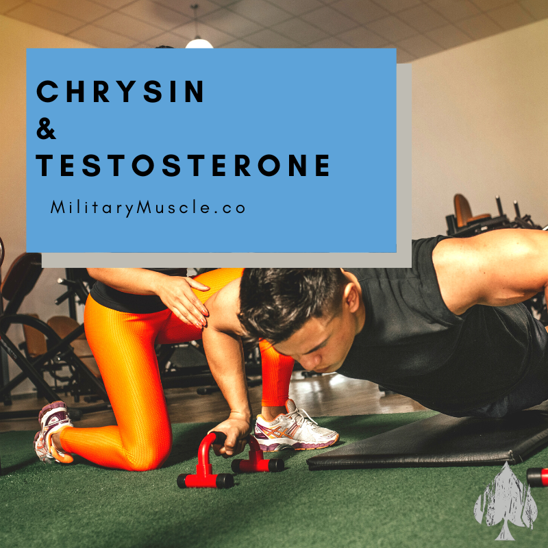 Does Chrysin Block Estrogen?