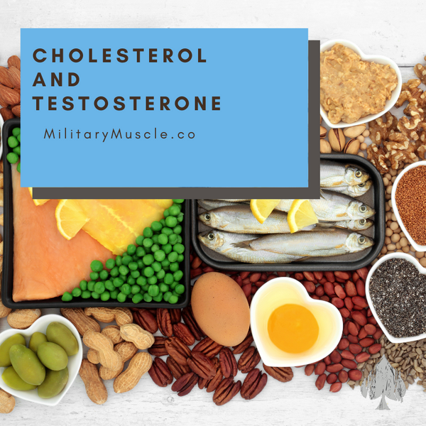 High Cholesterol and Testosterone Levels