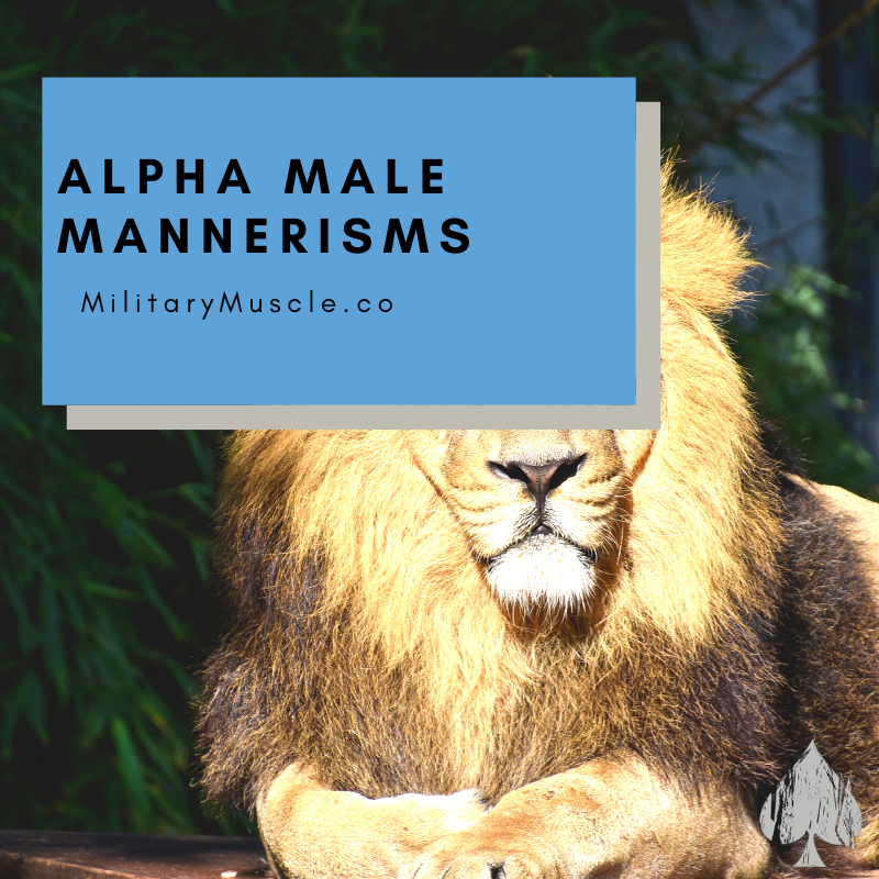 How does an Alpha Male Pursue a Woman?