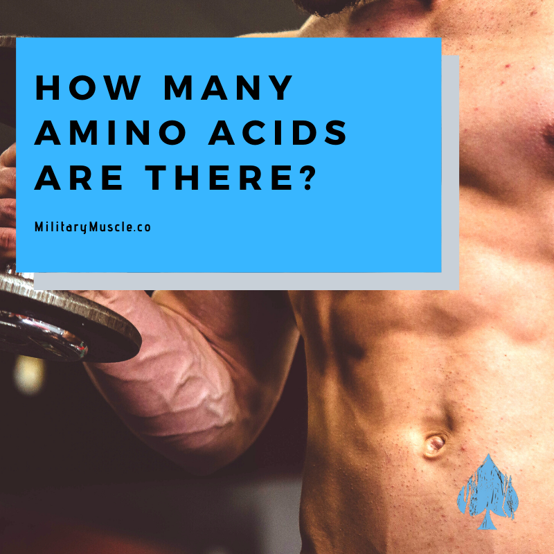 How many Amino Acids are there?