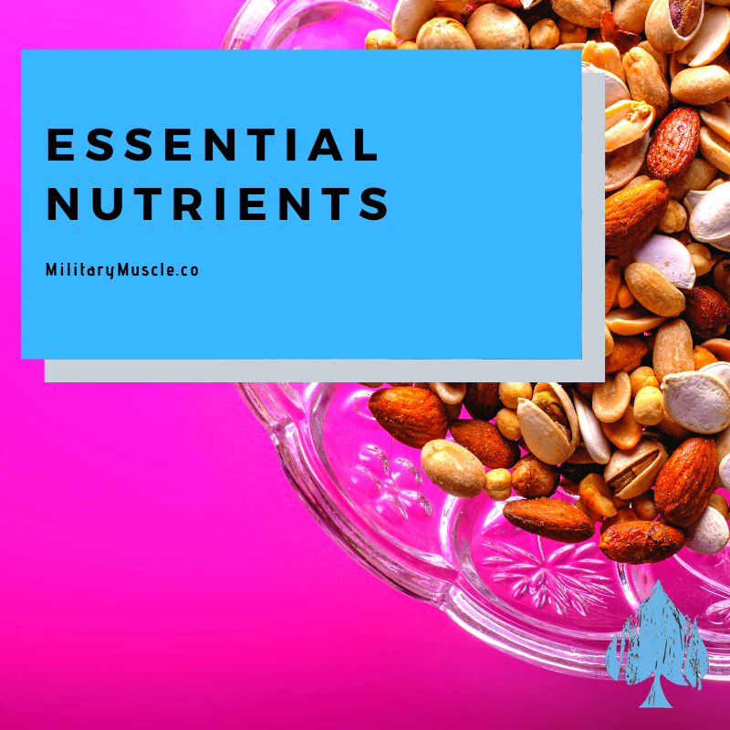 What are the Essential Nutrients?